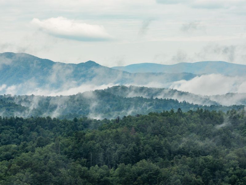 Blackberry Mountain Scenics