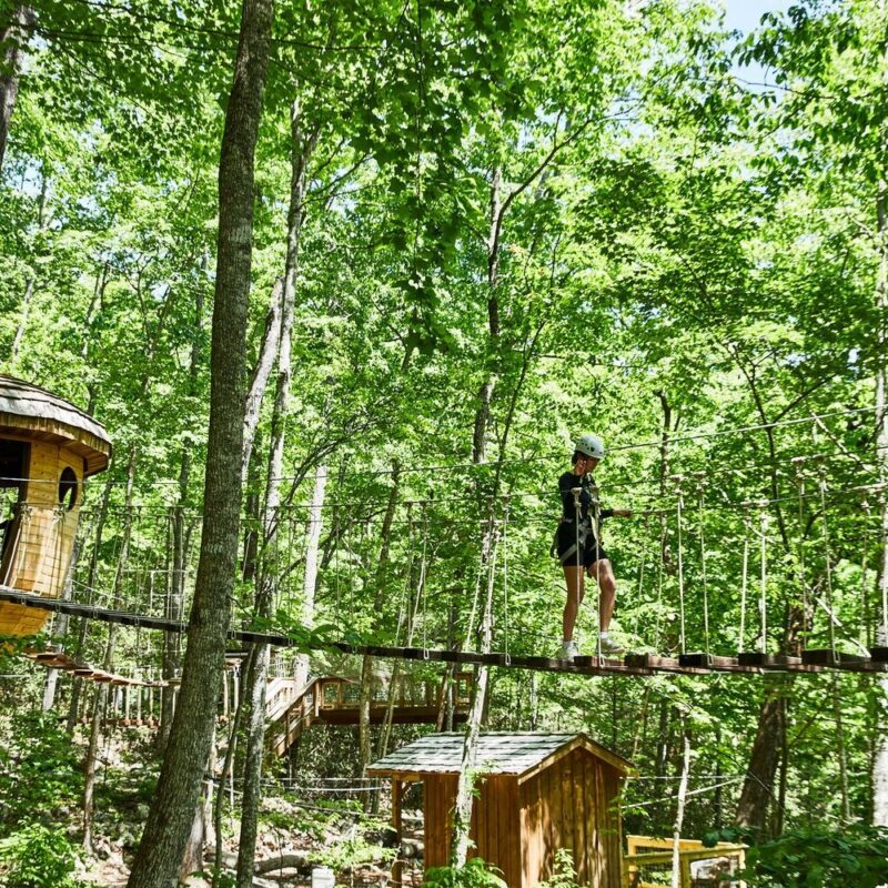 Choose Your Adventure