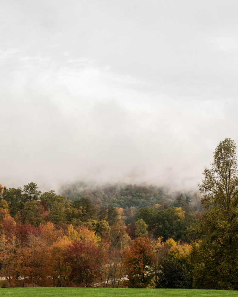 Fall at Blackberry Farm