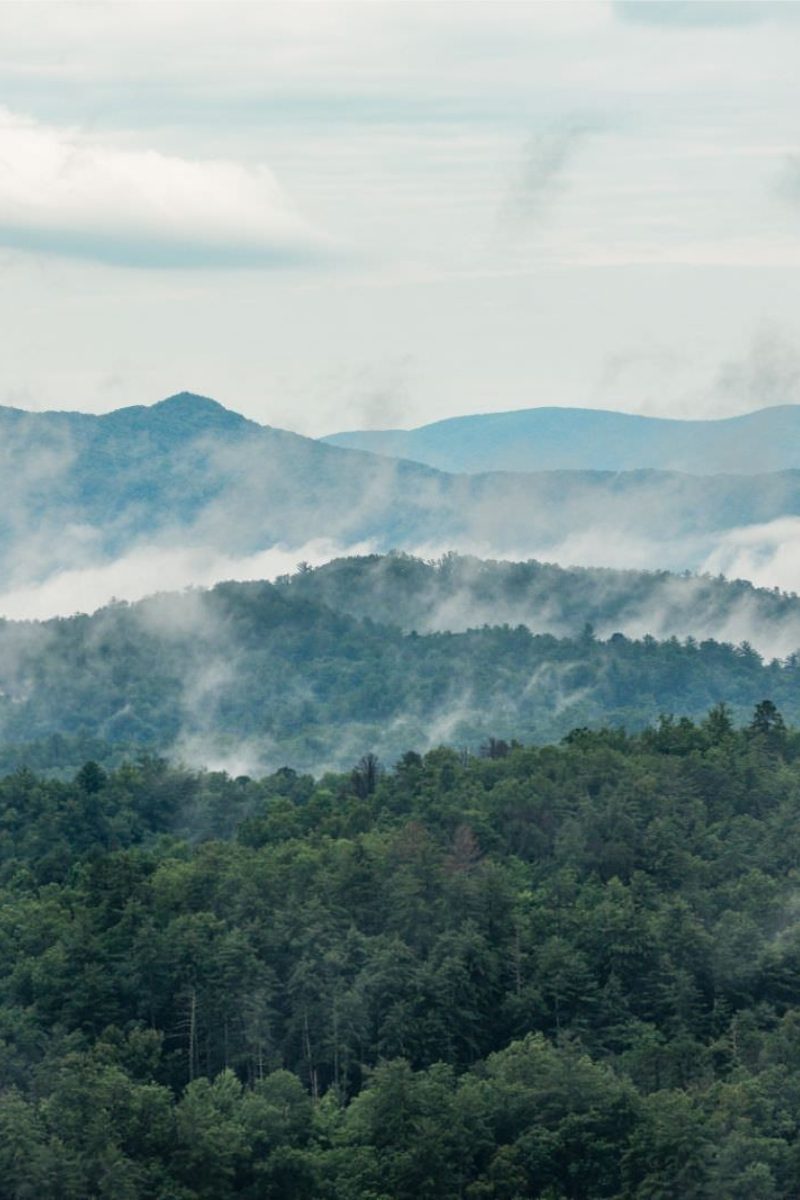 Blackberry Mountain Scenics