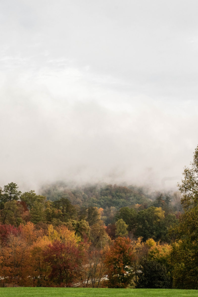 Fall at Blackberry Farm