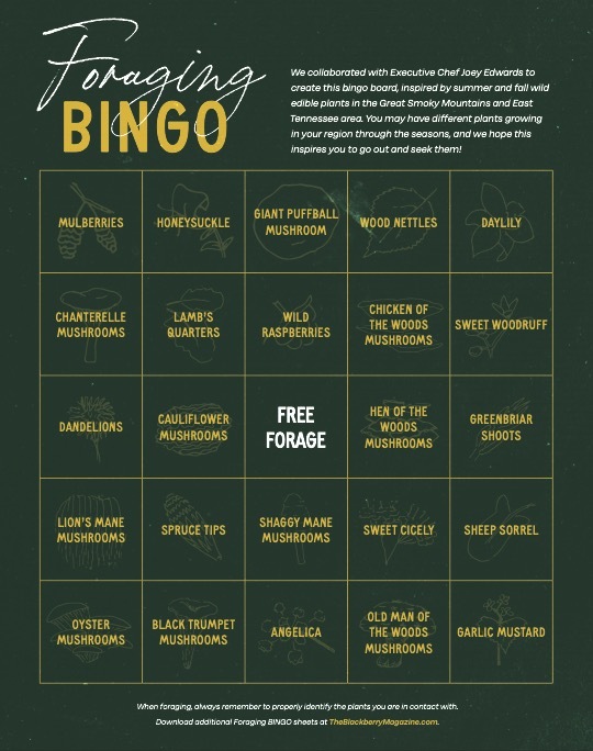 Foraging Bingo as photo