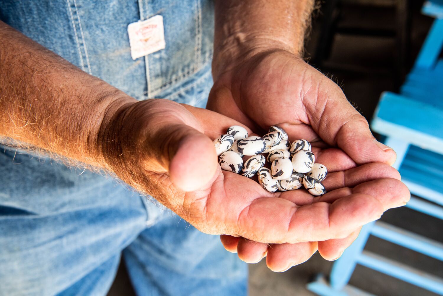 Web JPG BF 21 07 27 RAU SUMMER BEES GARDEN 9375