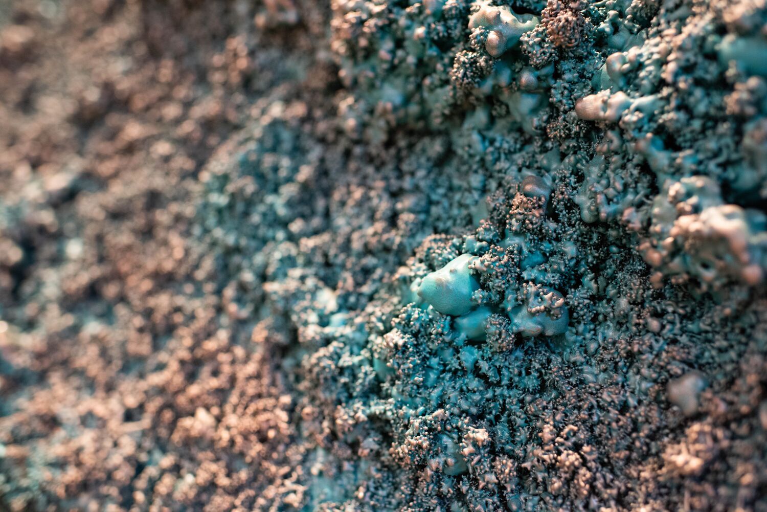 Web JPG MAGAZINE 21 11 10 ARTWORK TEXTURE 3131