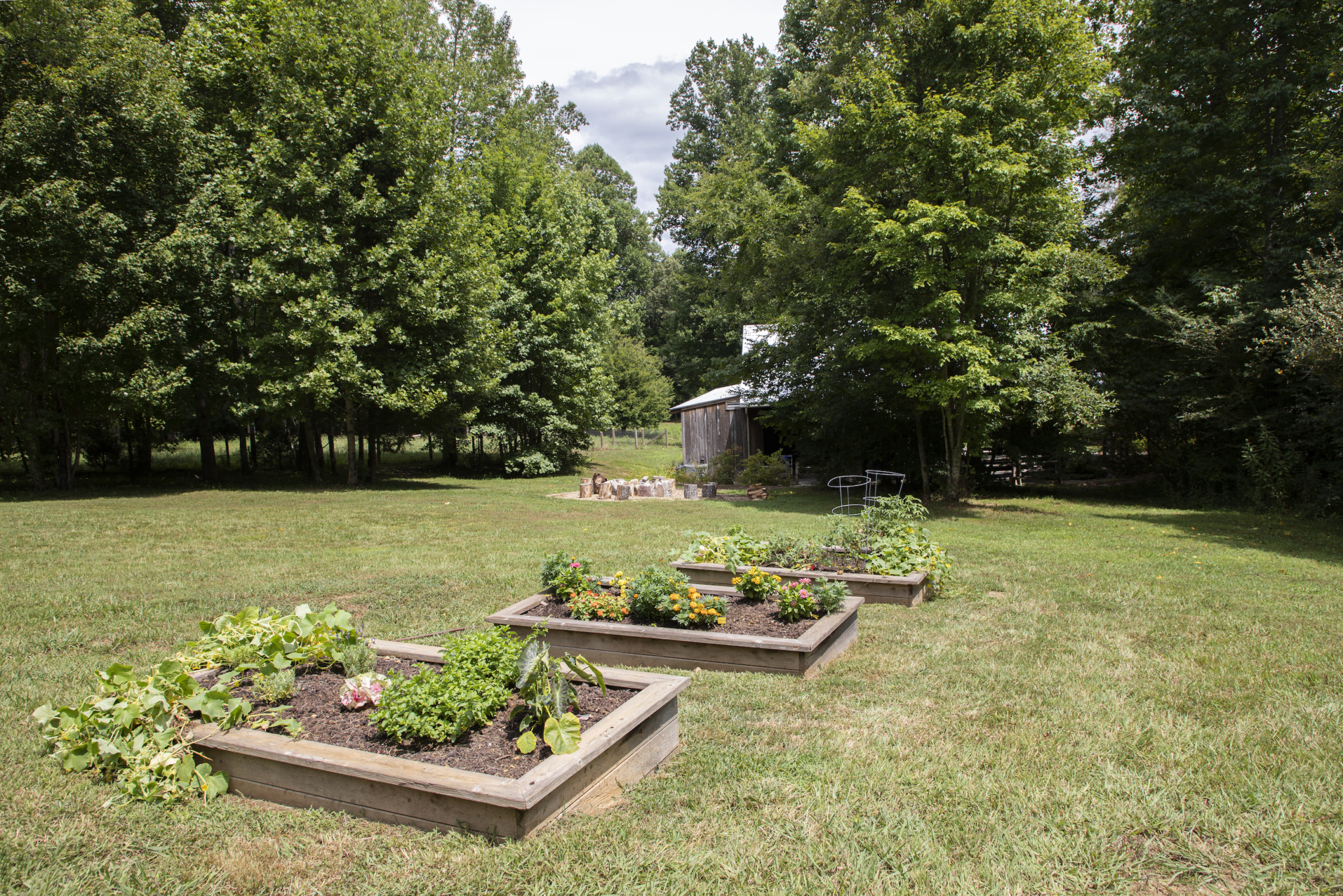 Growing In and At the Garden