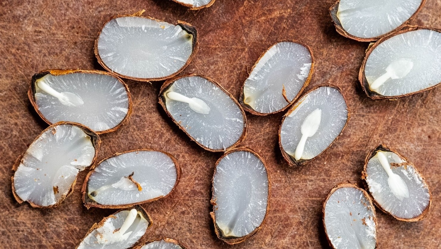 It’s Persimmon Season!