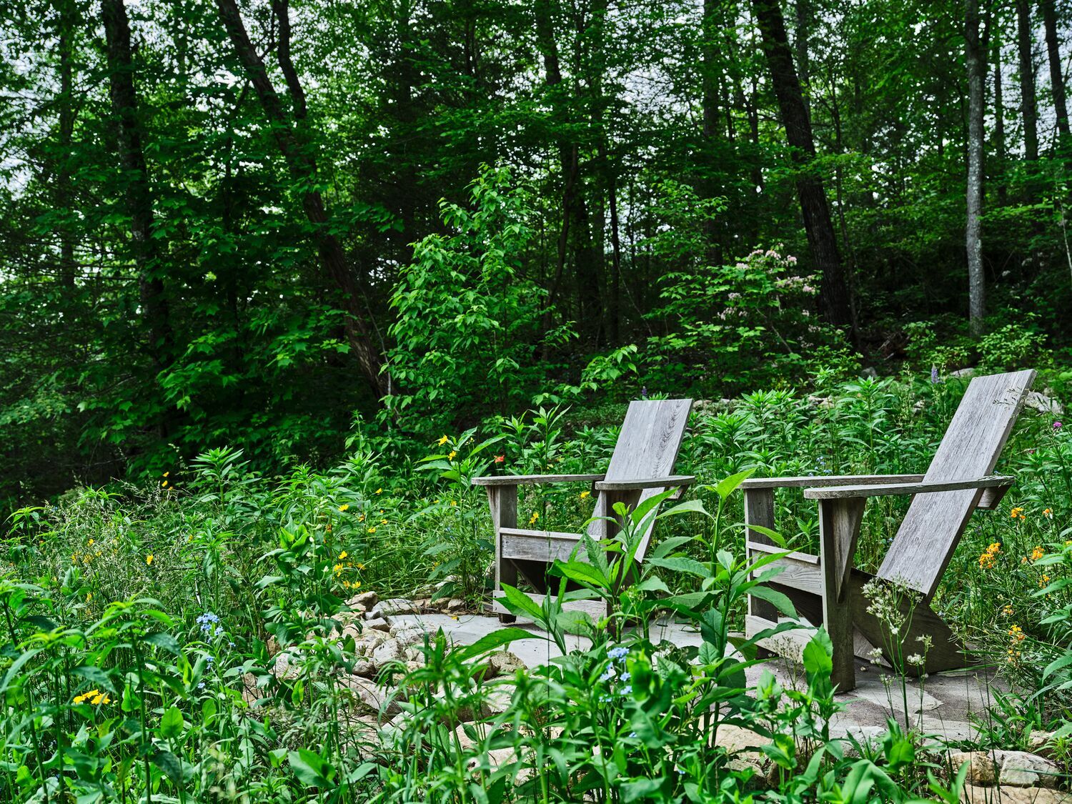 The Whaley Trail