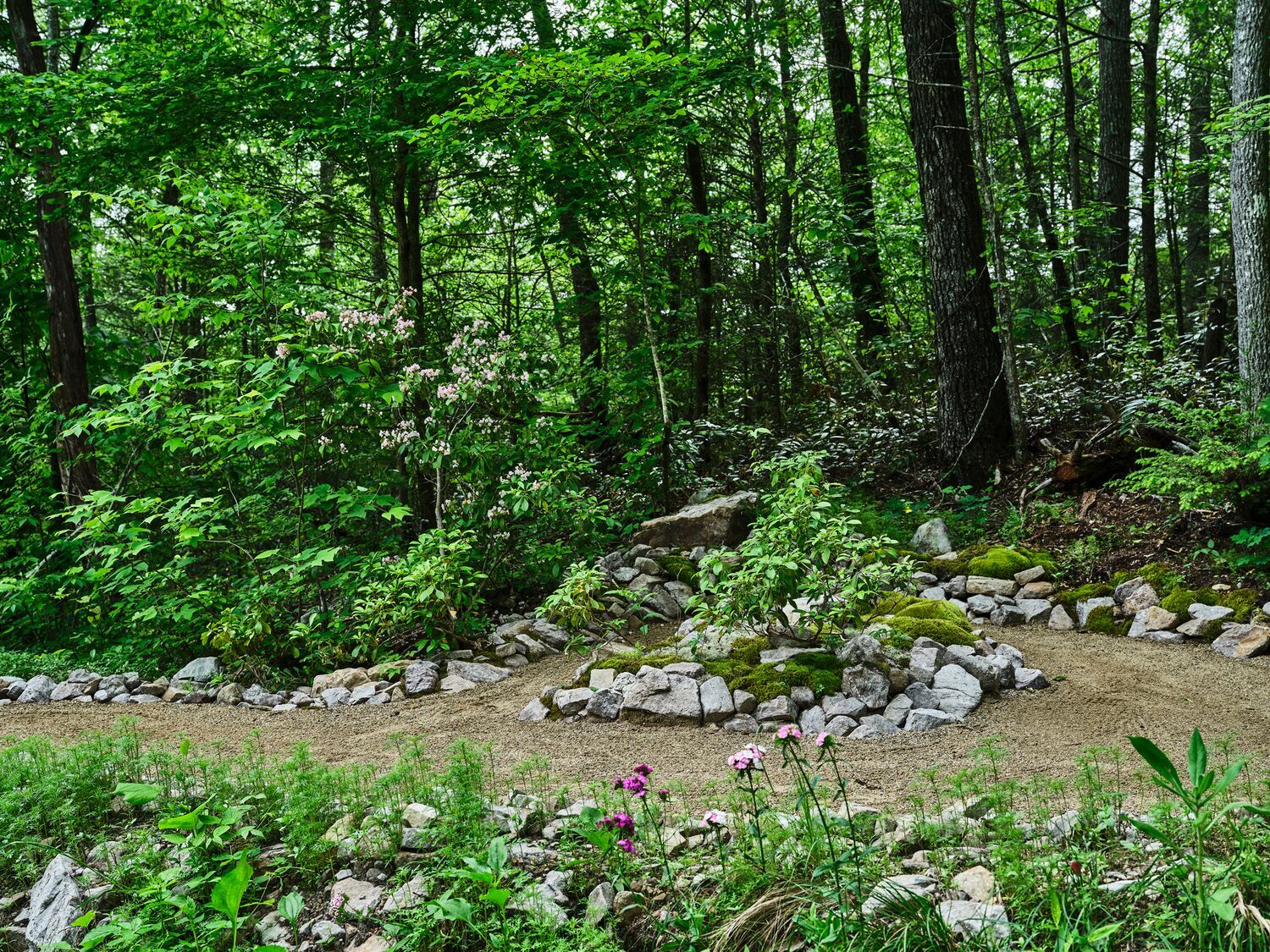 The Whaley Trail