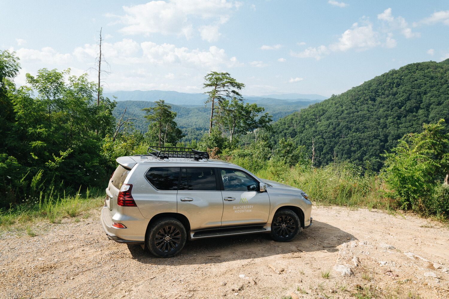 Thriving Through Fire