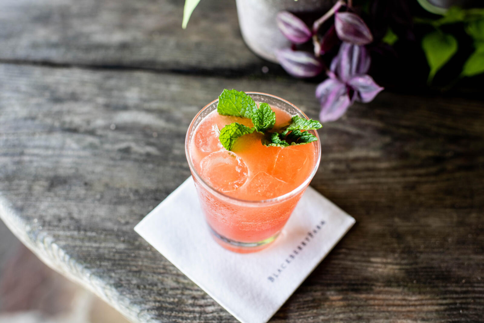 Smoky Mountain Bird | Blackberry Farm