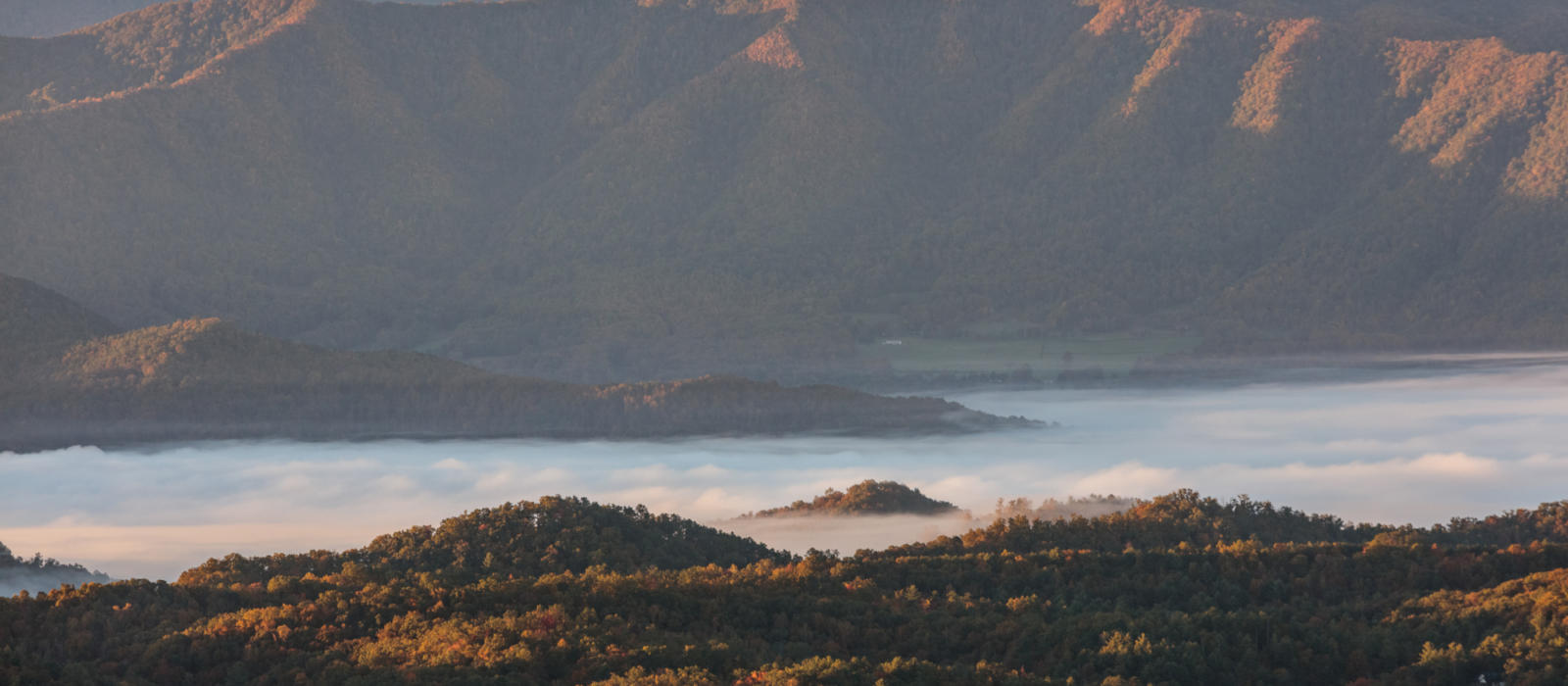 From Conservation to Connection