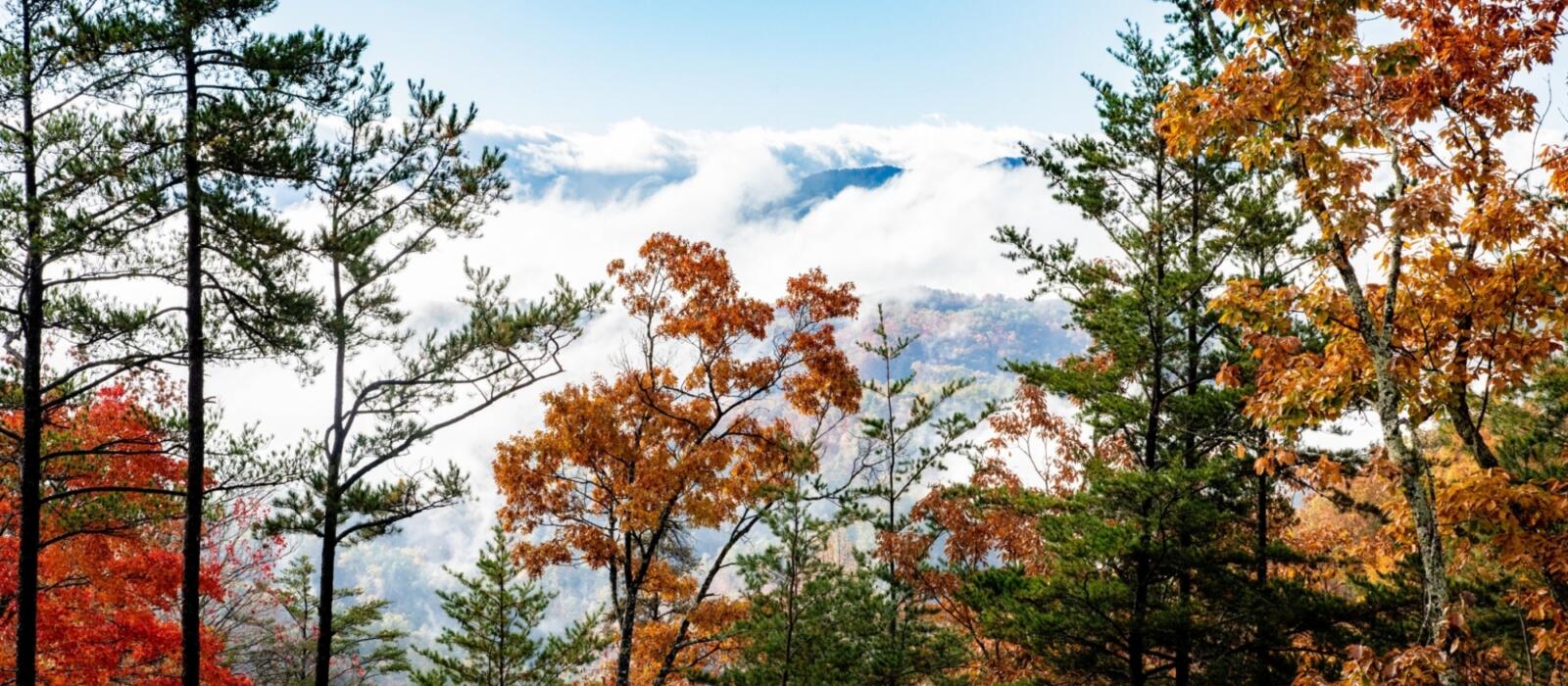 Autumn Approaches