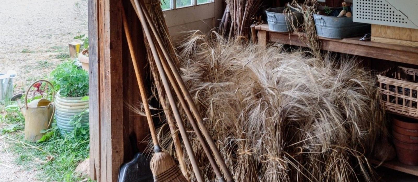 This is the Year to Start a Garden - Part 1