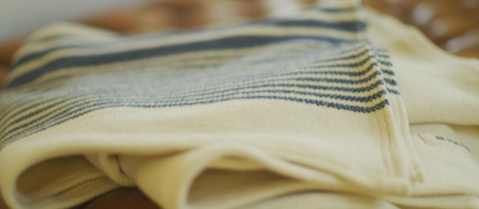 Makers Series: Swans Island