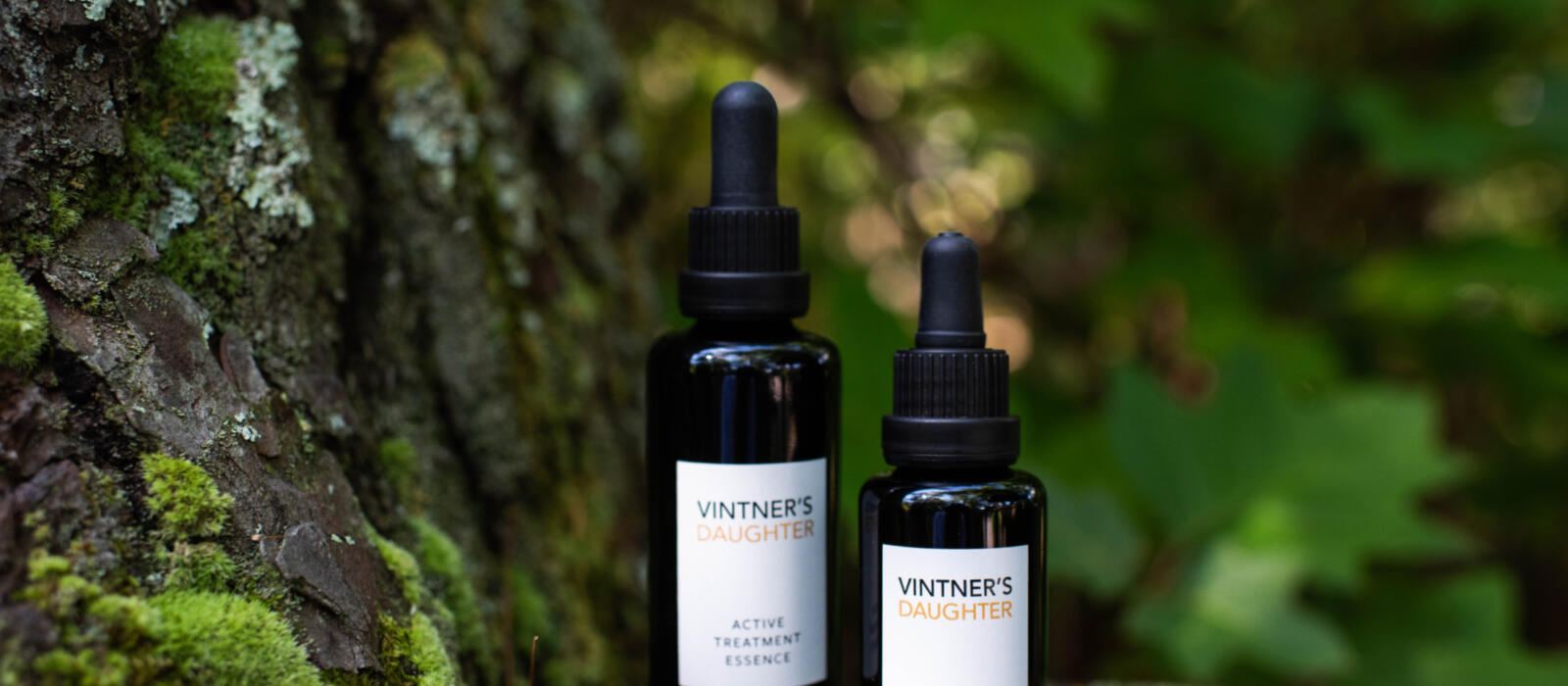 Introducing Vintner's Daughter