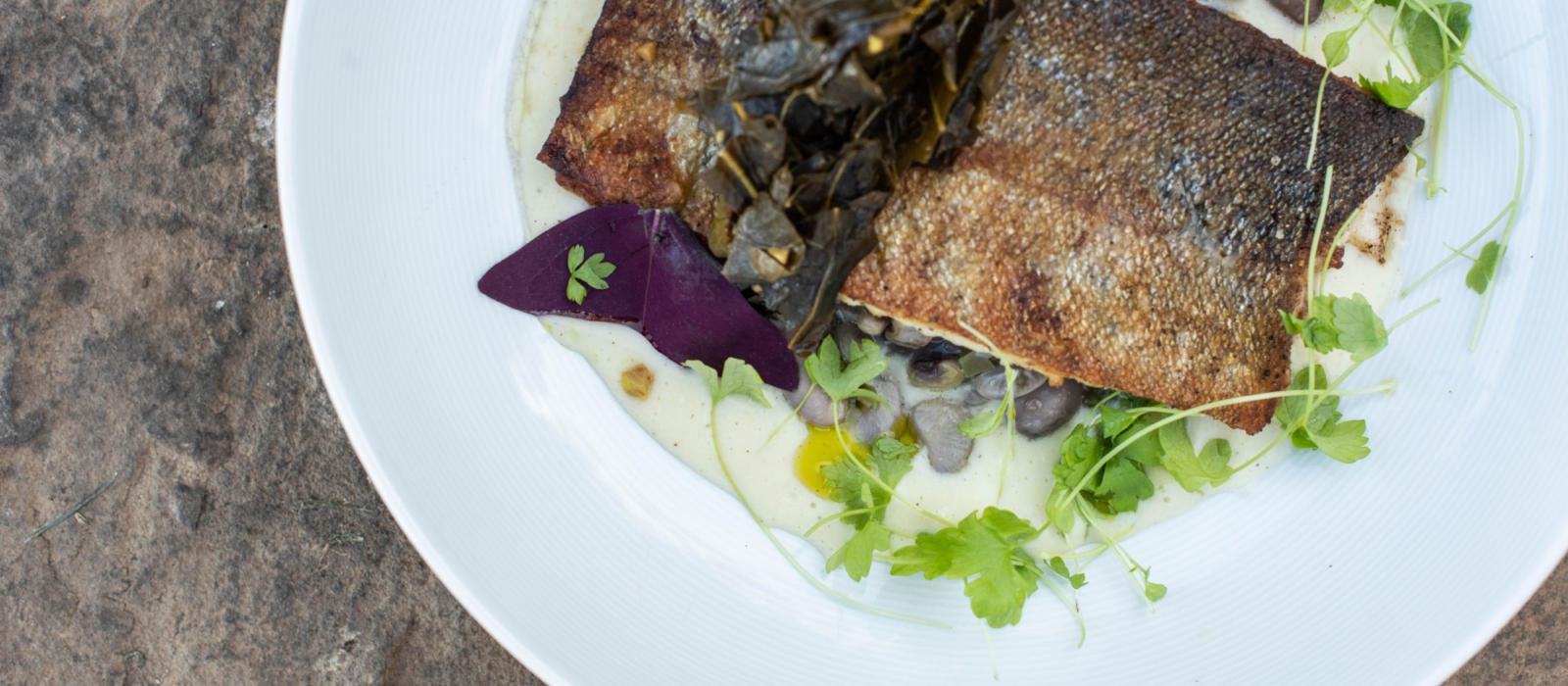 Seared Trout from the Main House