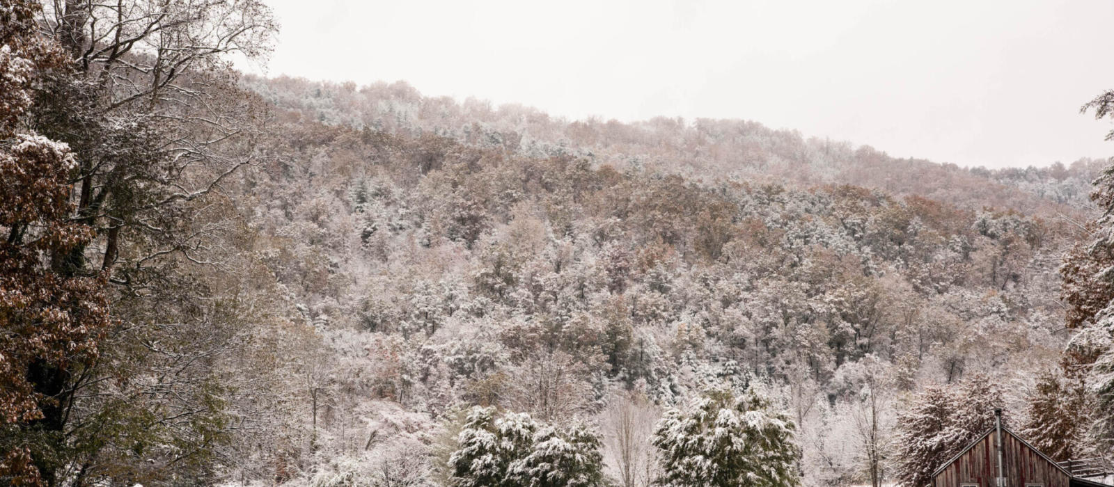 Discover the Bounty of Winter