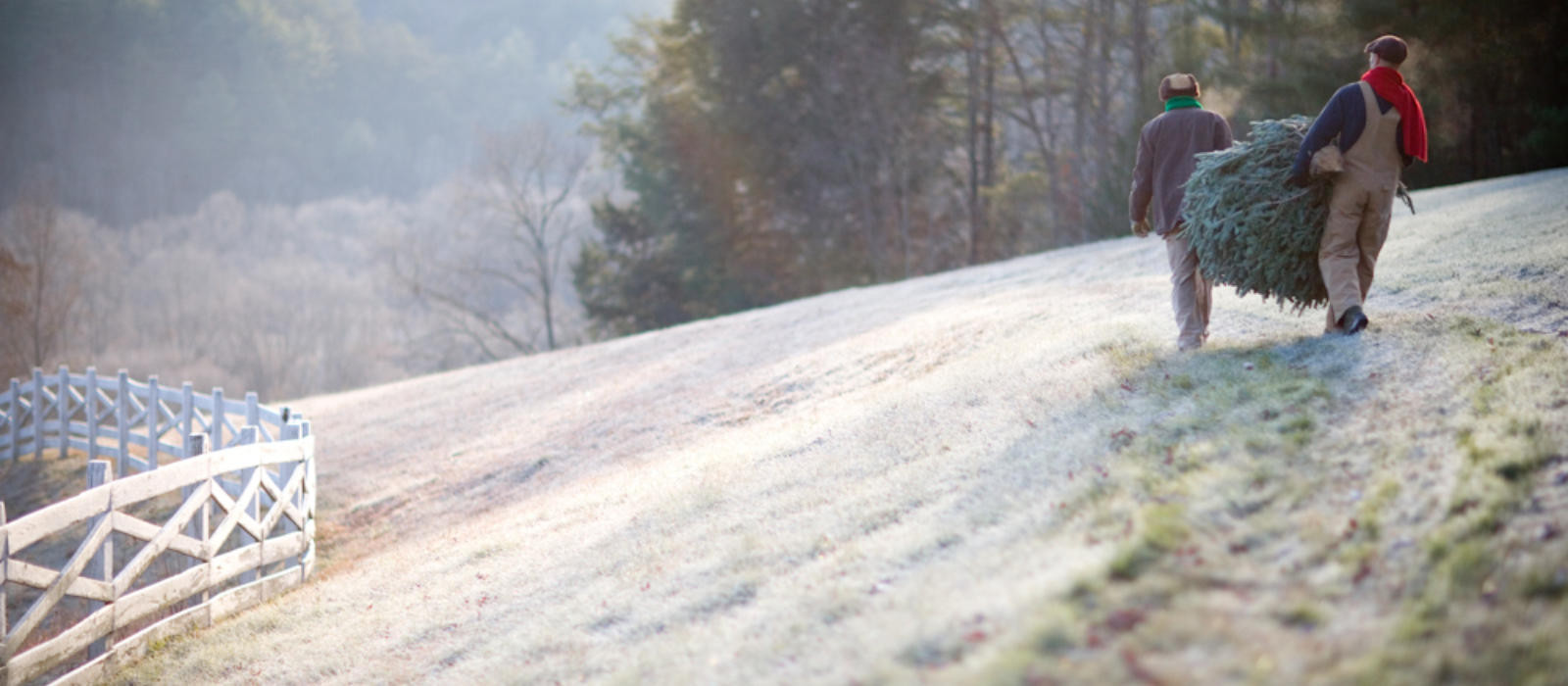 December Bucket List