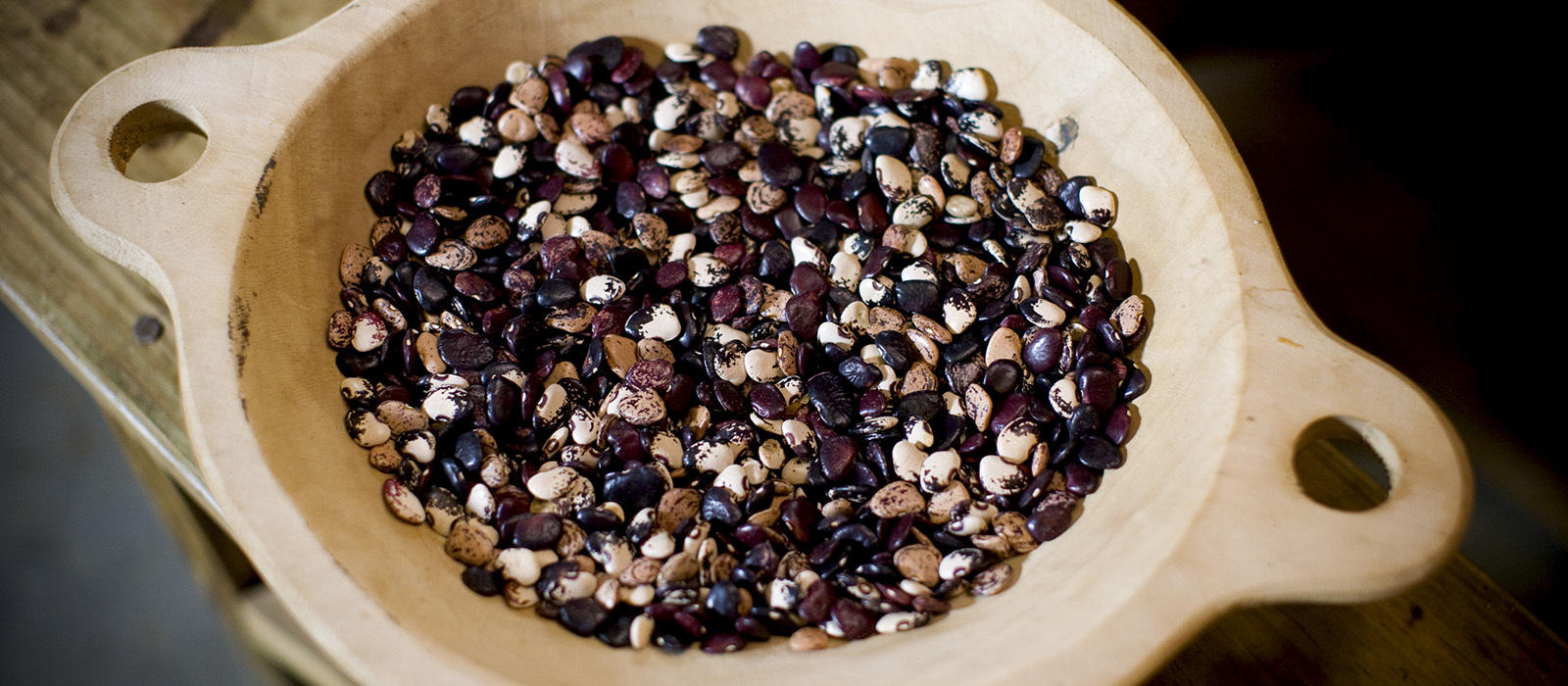 Gone to Seed with John Coykendall