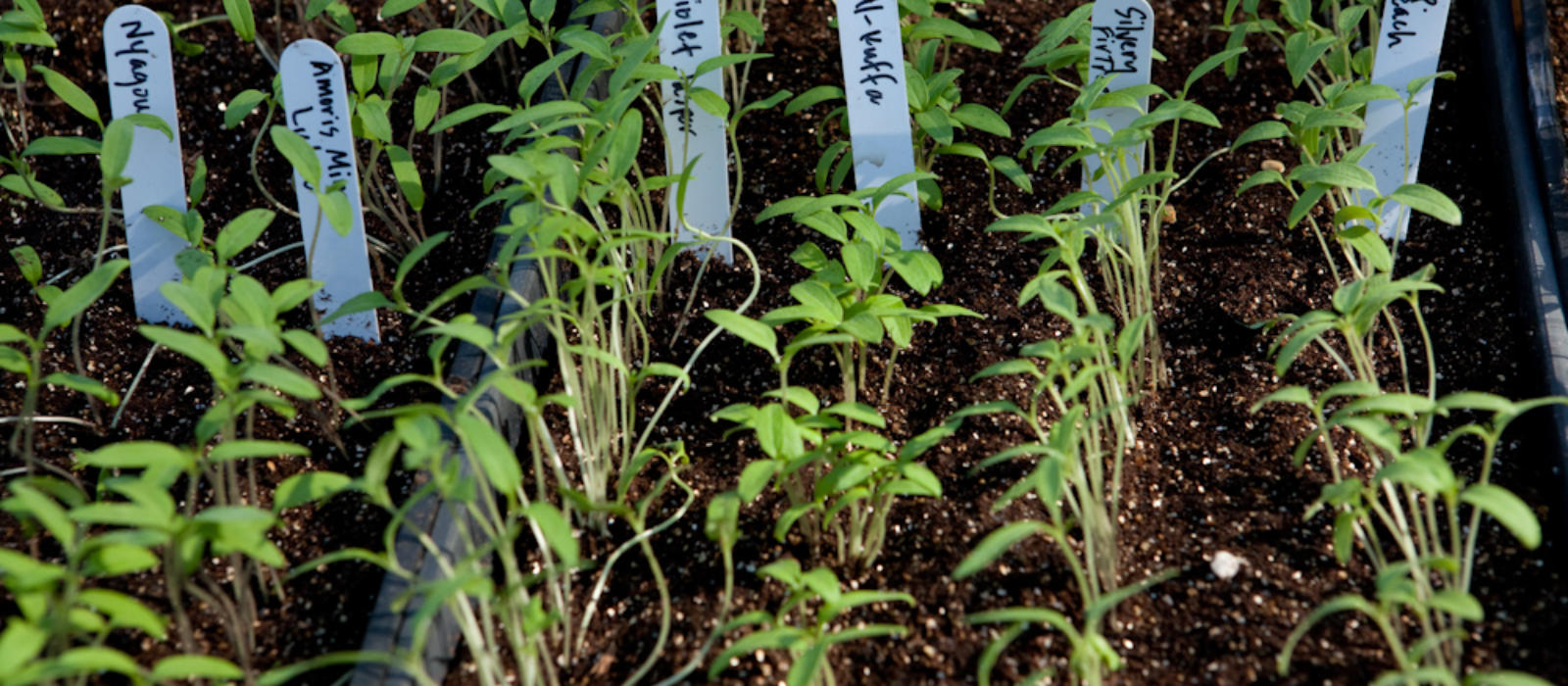 Here is what we would do for March