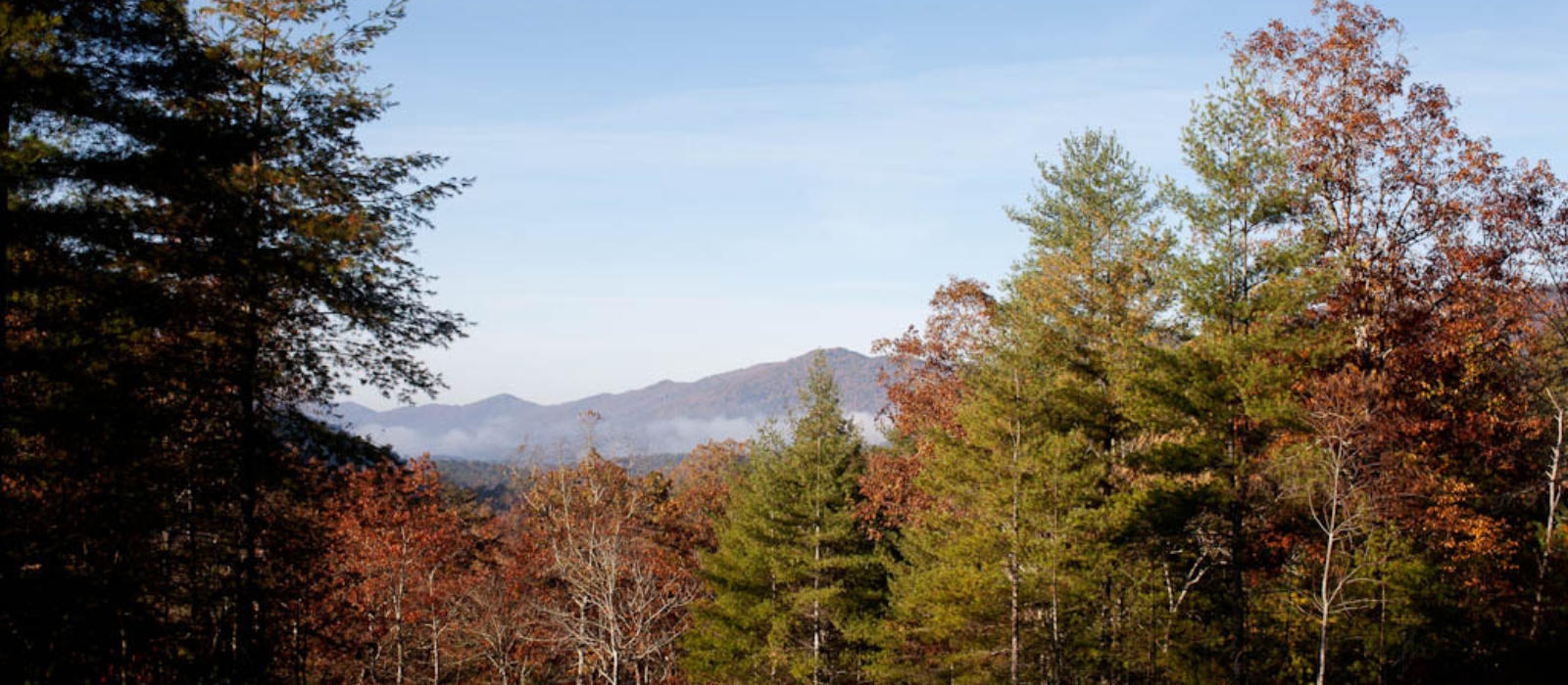 Blackberry Farm Friends of the Farm 124 Year Old Mystery