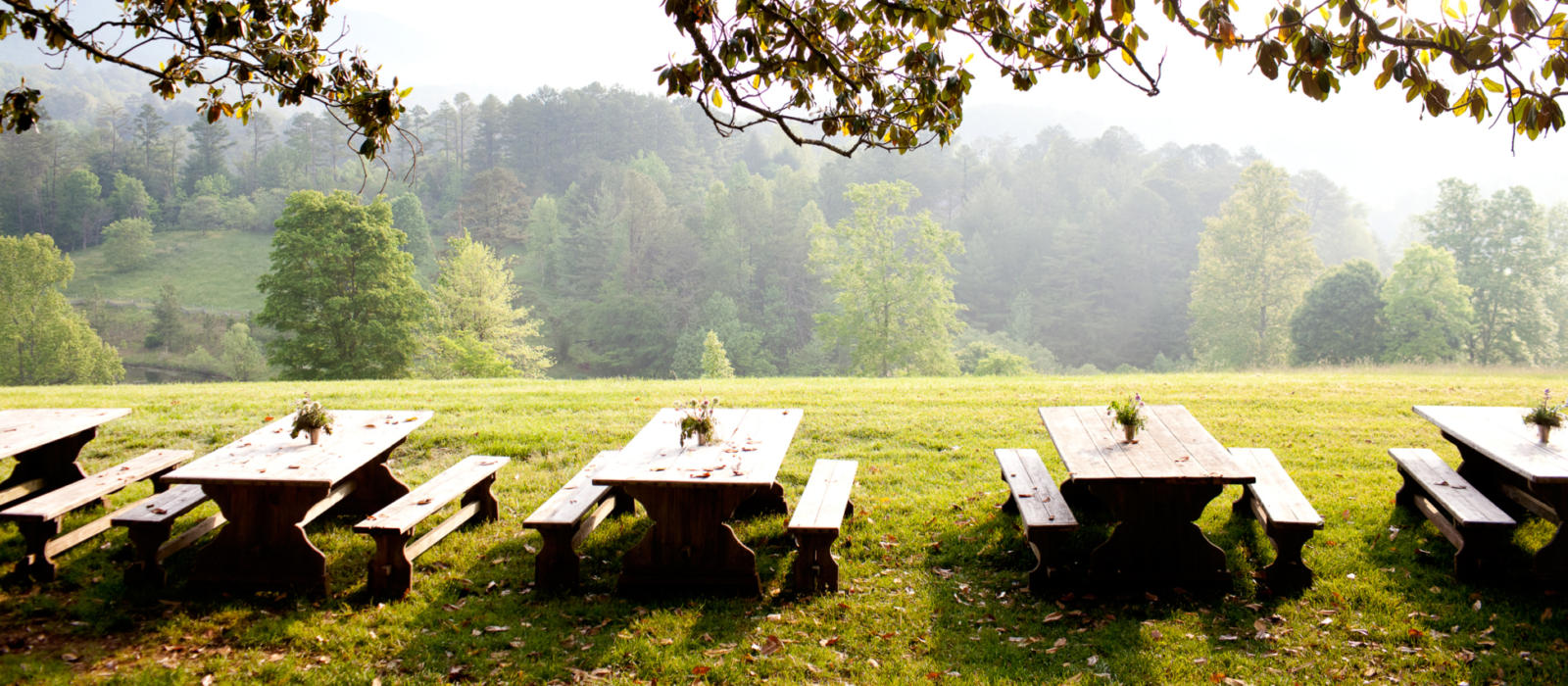 A Beautiful Blackberry Day