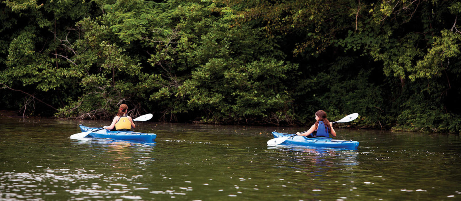 Pursuit of Adventure