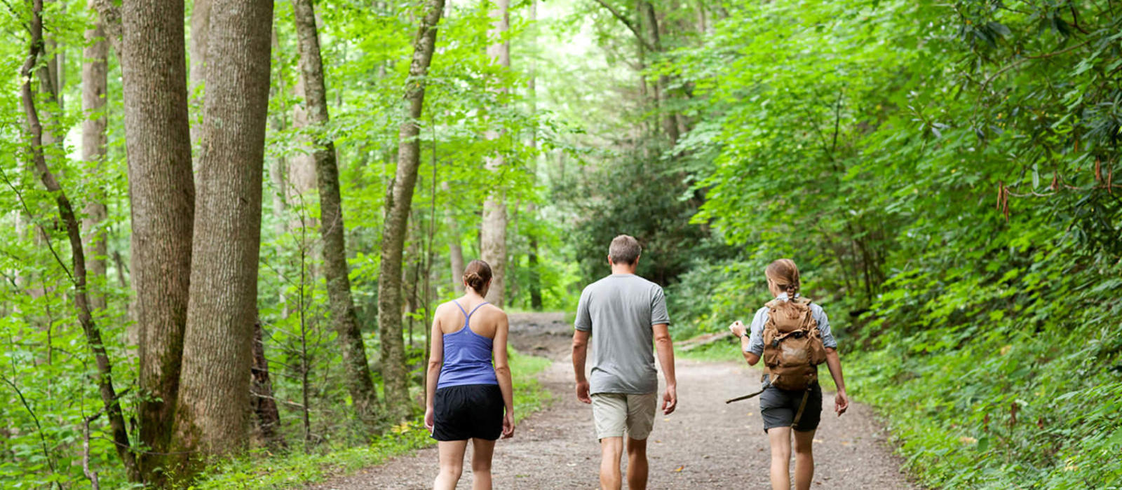 Smokies Hike 100