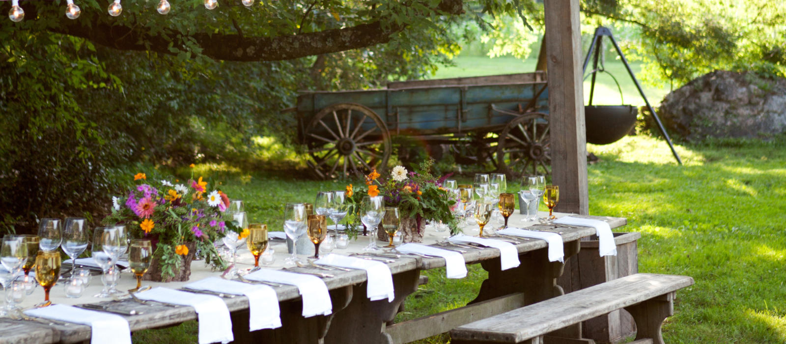Dinner in the Garden