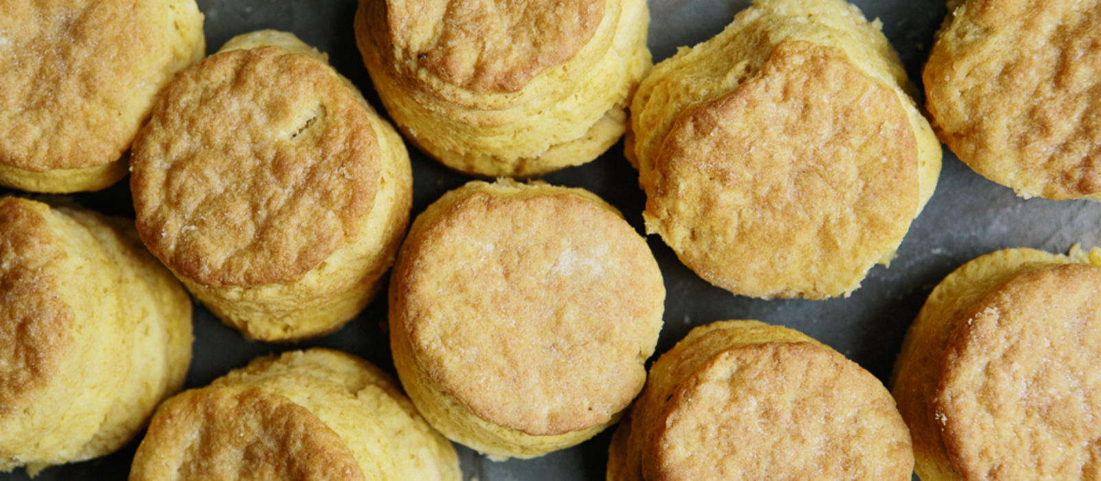 Sweet Potato Biscuits