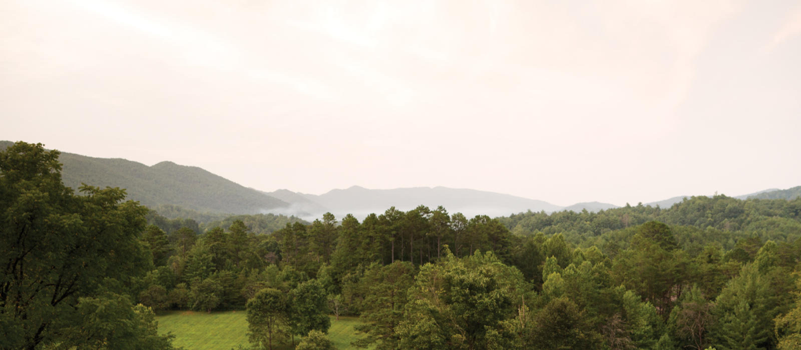 Celebrating Hospitality