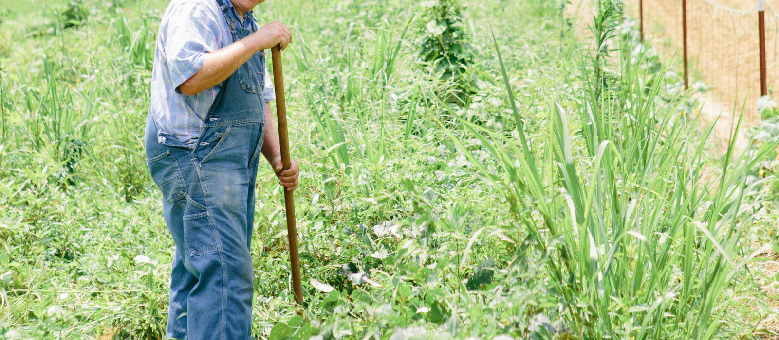 Deeply Rooted - A Documentary with John Coykendall