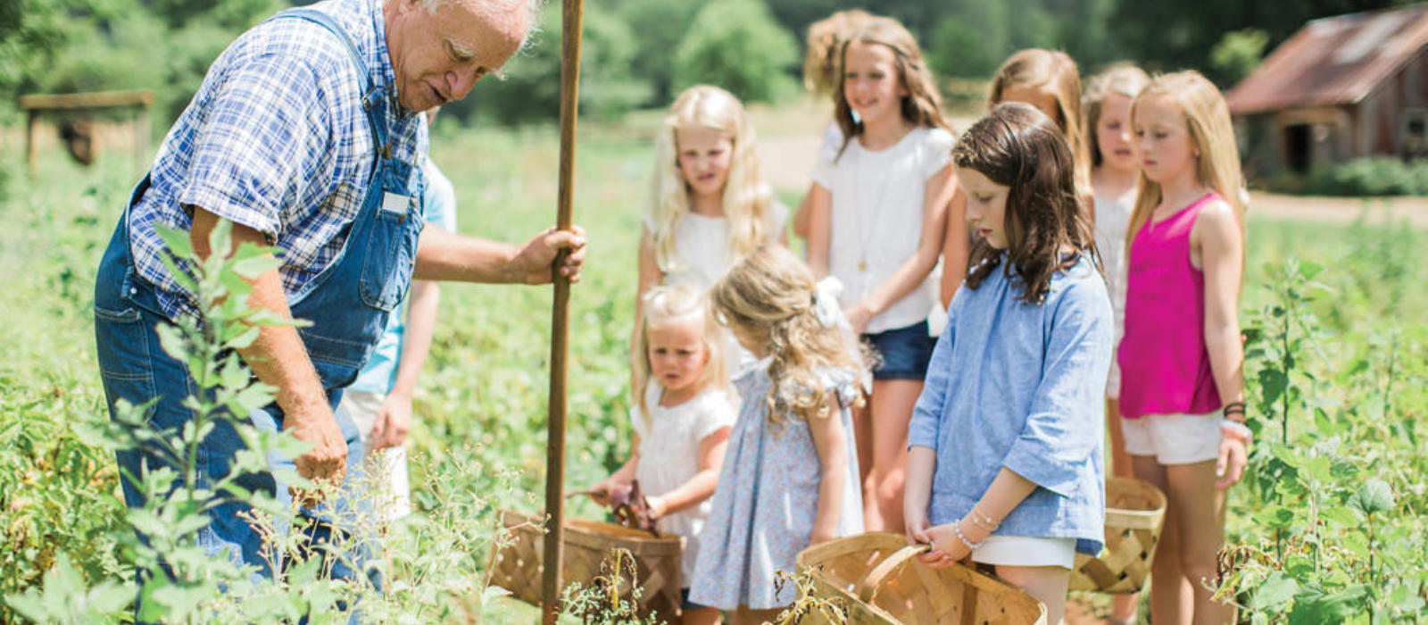 Dreaming of Spring & Sweet Family Memories