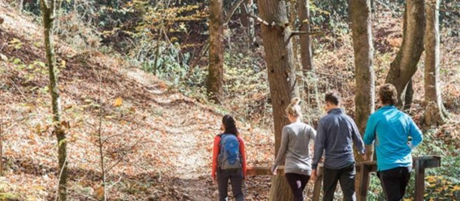 Top 5 Hikes for Winter