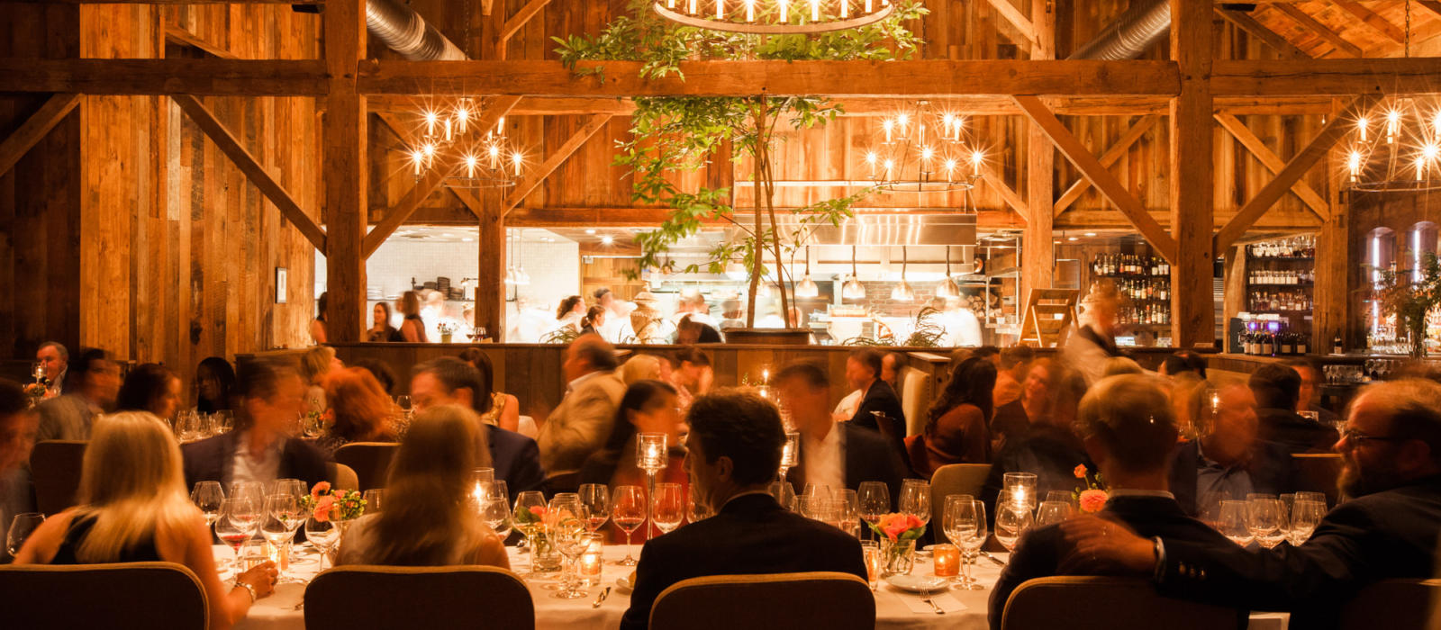 Looking Back - 10 Years at The Barn