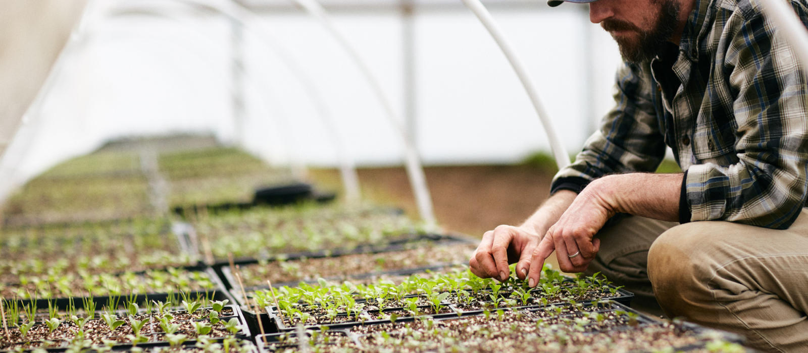 Garden Month Planting