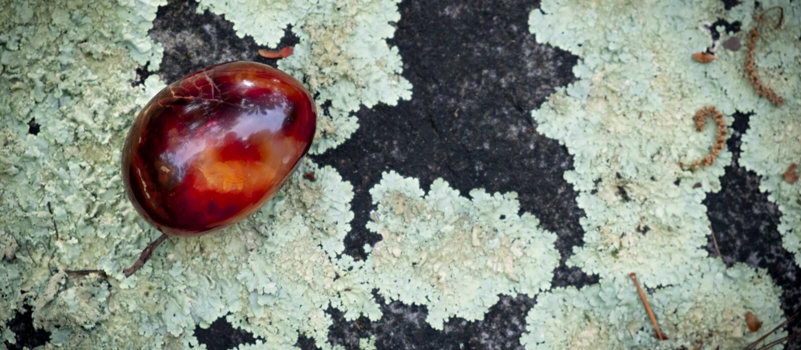 Quick Crystal: Carnelian