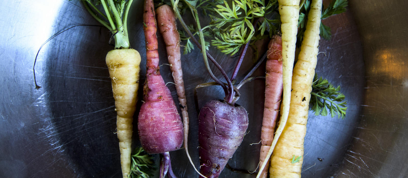 Winter Storage - Carrots and Parsley
