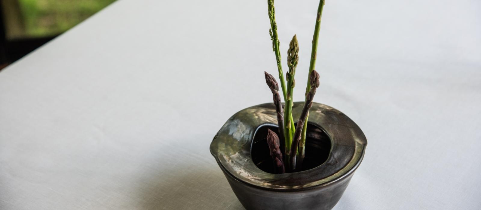 From Garden to Table Asparagus