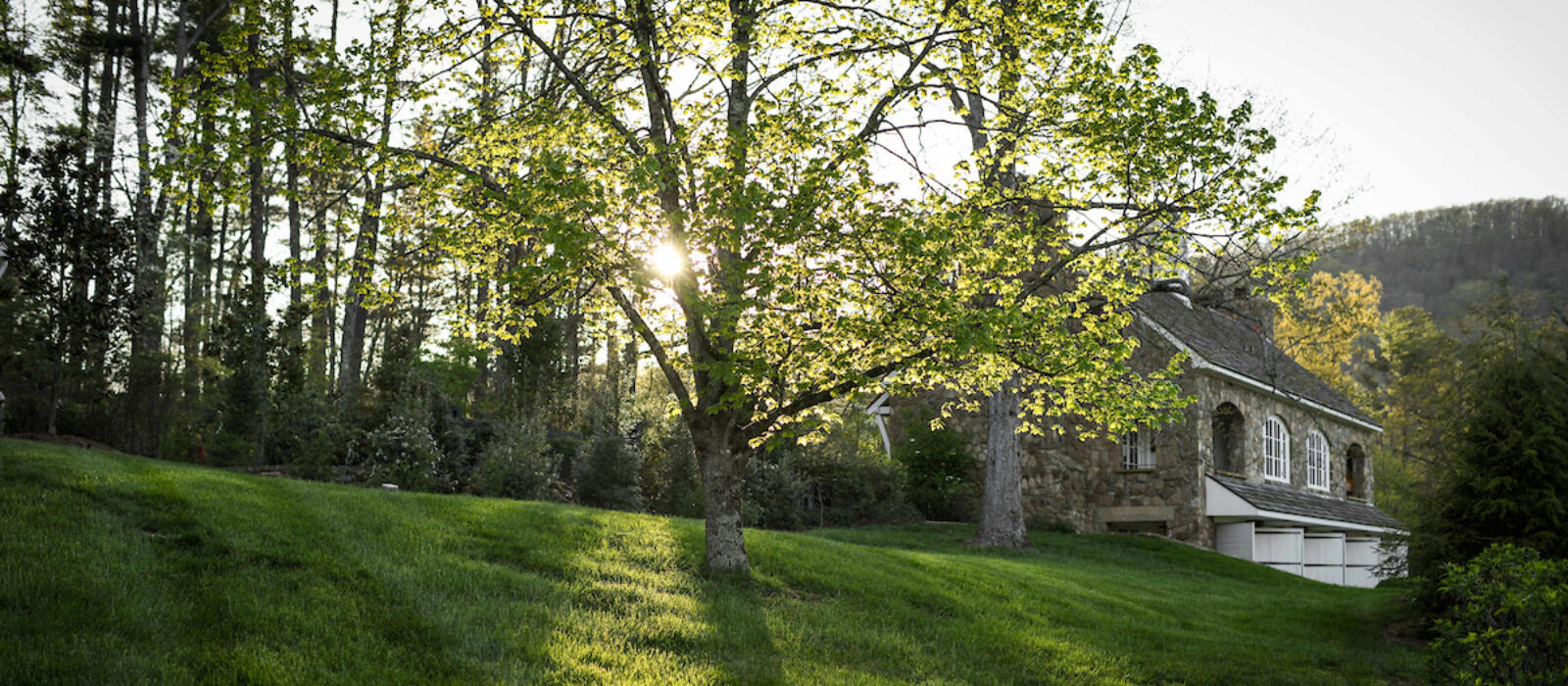 Set Your Intentions for Summer