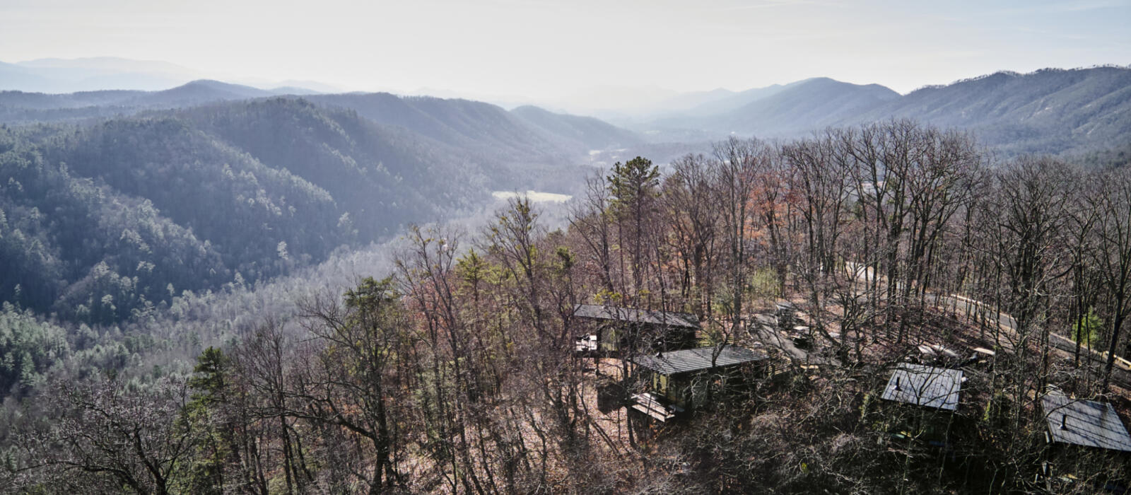 Unexpected Discoveries