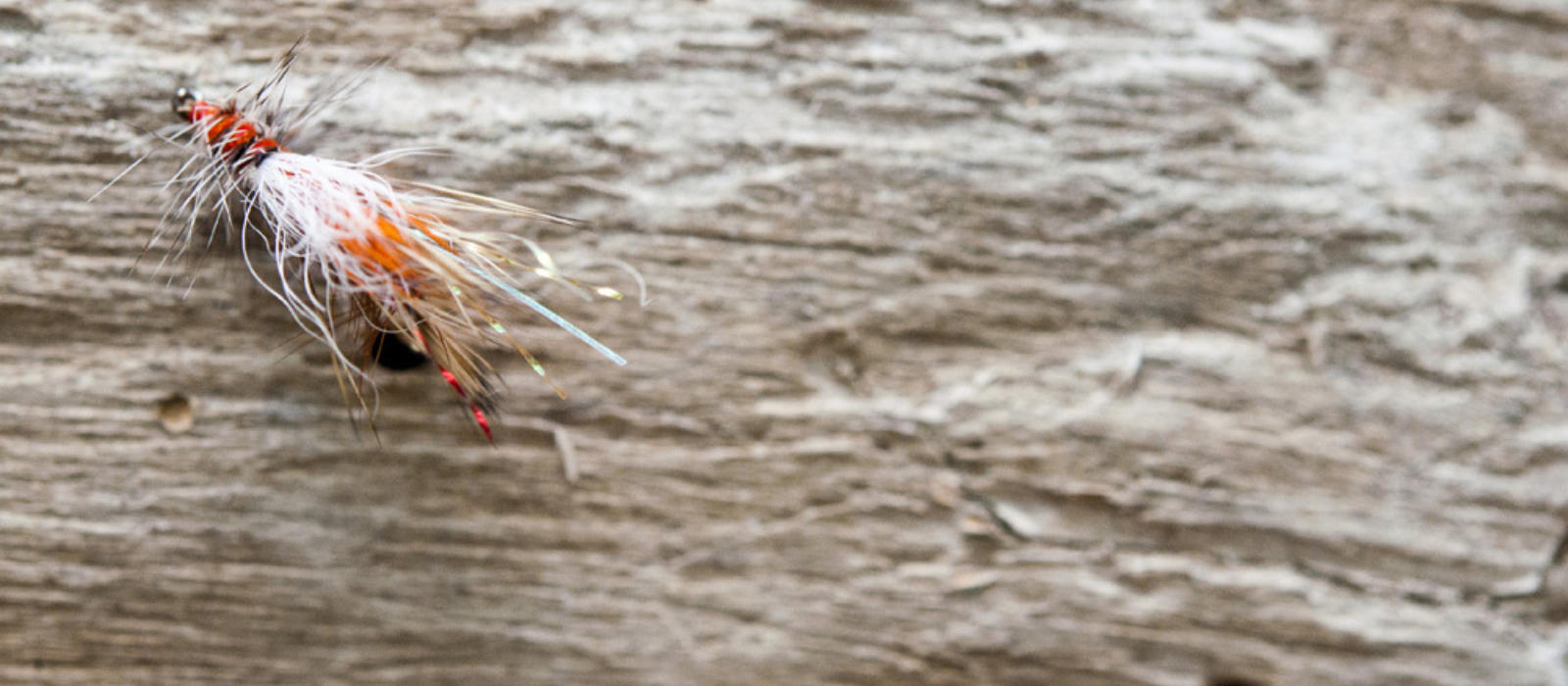 September’s Observations of Transition