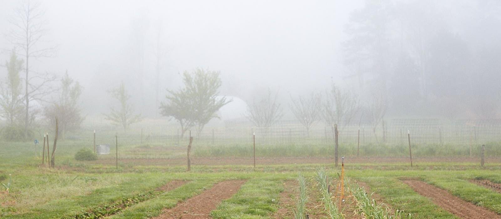 Reliance on Rain