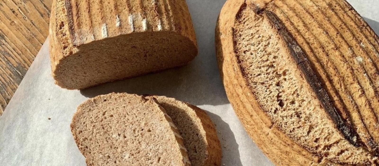 Gluten Free Sourdough