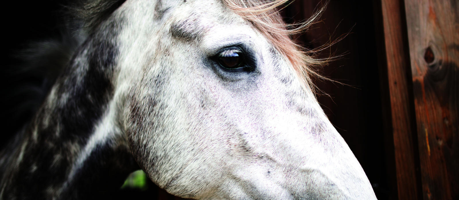 A Change of Perspective