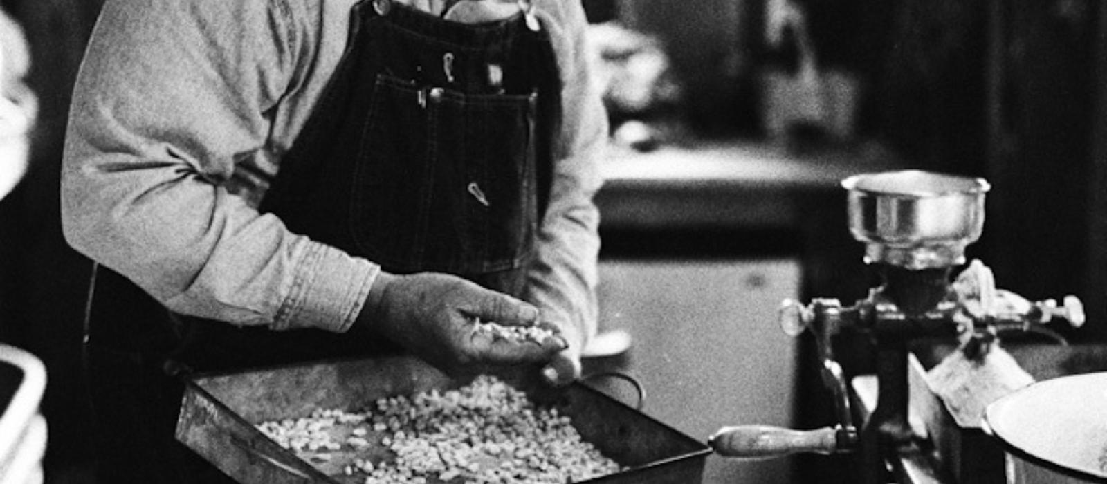 January in the Garden