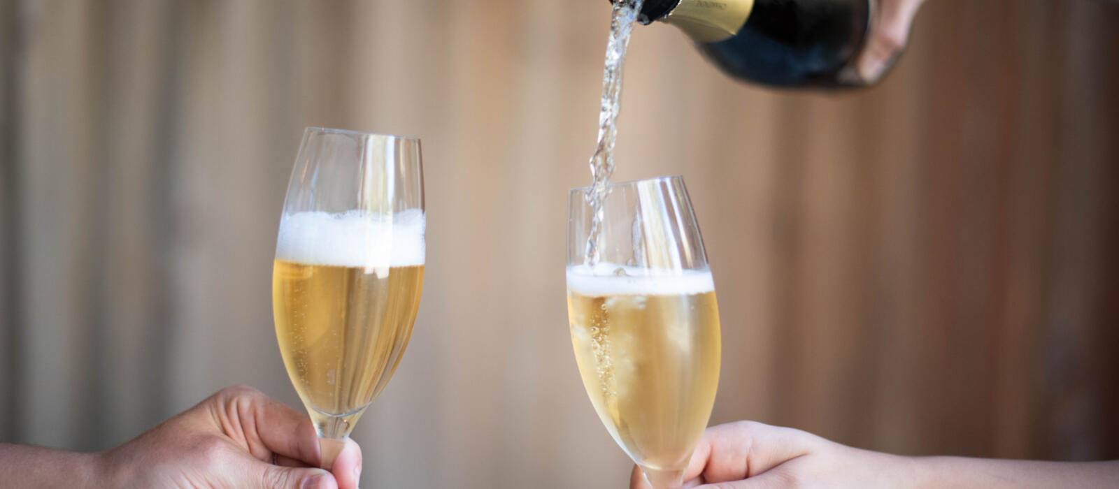 Holiday Wine Pairings