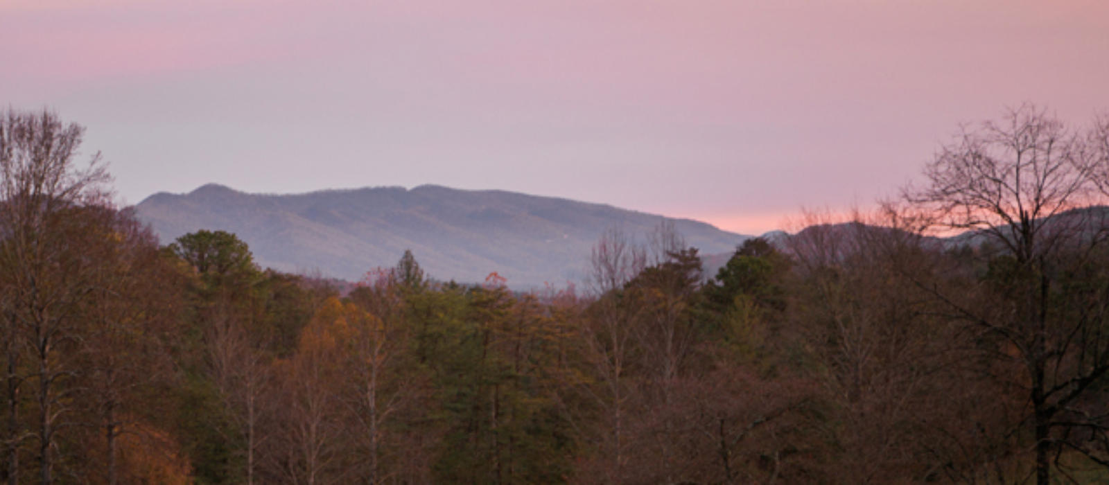 A Great Year of Dawns