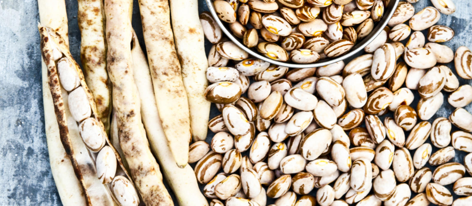 A Tale of Three Beans