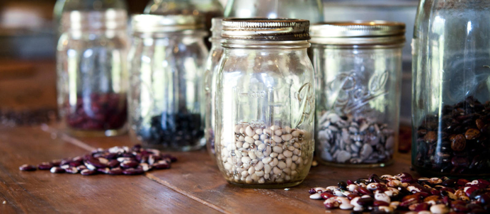 Saving the Seeds From By Gone Times for Future Generations